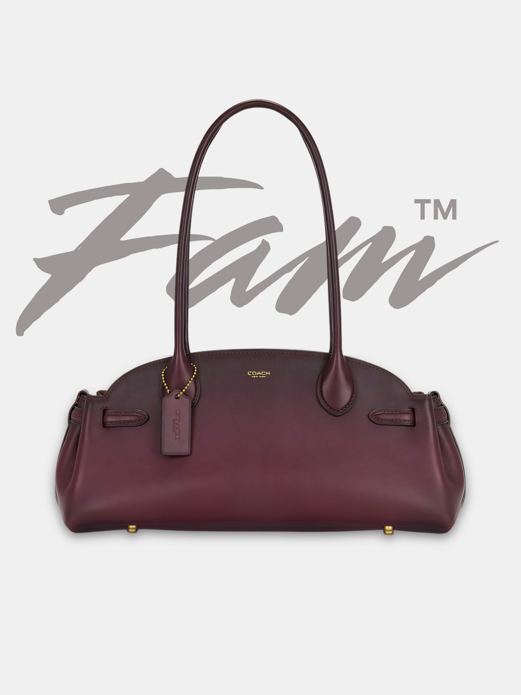 COACH Merlot Empire Carryall Bag 34