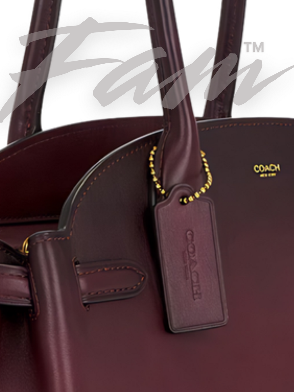 COACH Merlot Empire Carryall Bag 34